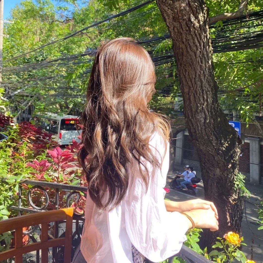 百合的故事 封面